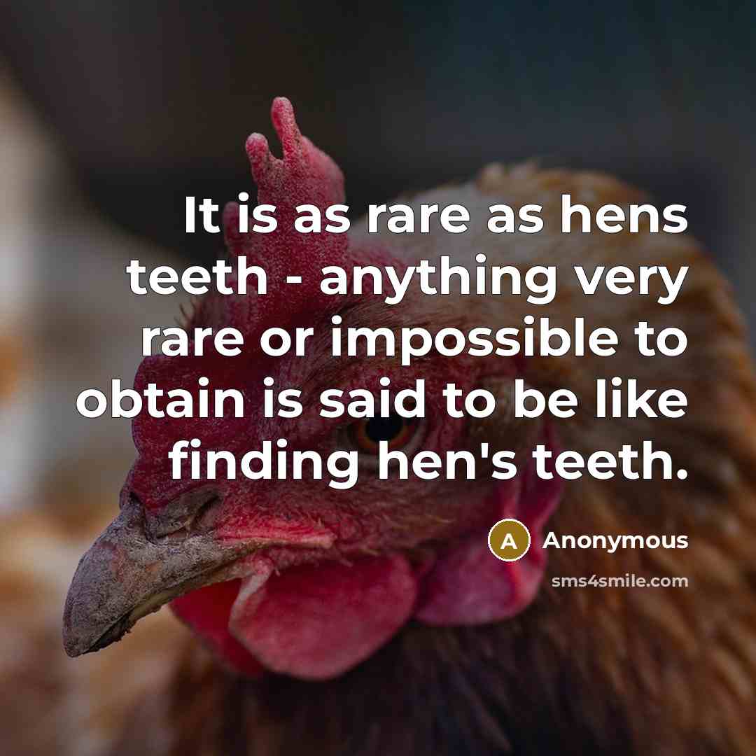 “It is as rare as hens teeth - anything very rare or impossible to obtain is said to be like finding hen's teeth.” quote by Anonymous