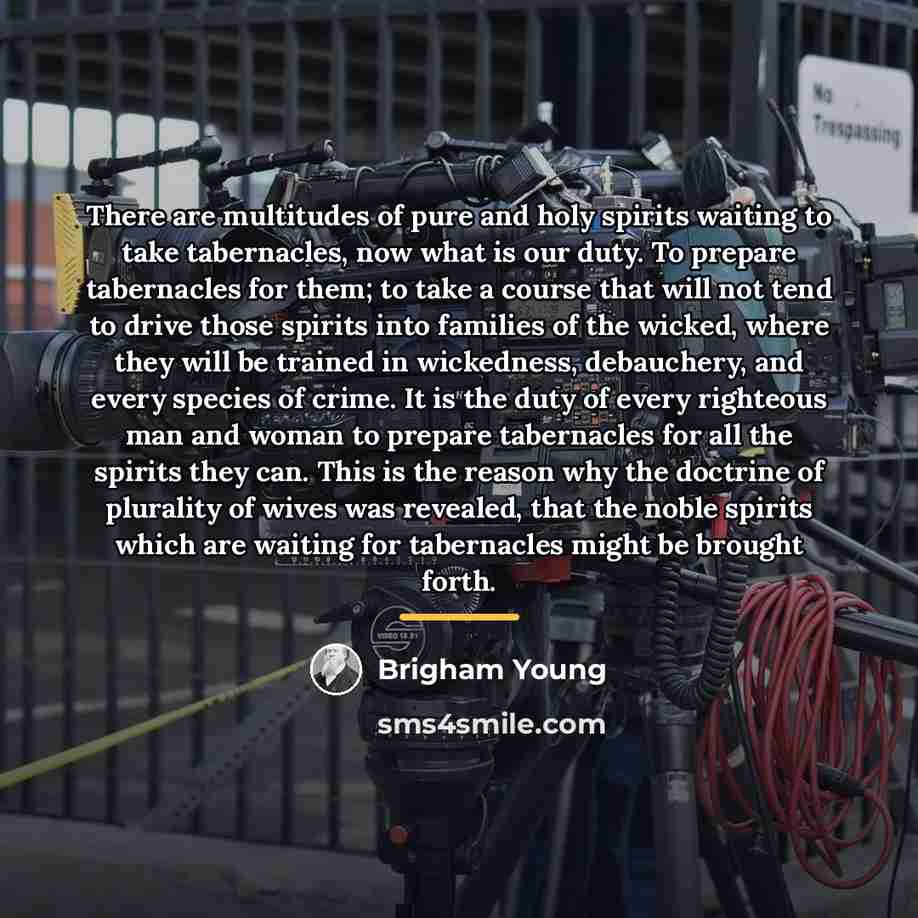 “There are multitudes of pure and holy spirits waiting to…” quote by Brigham Young