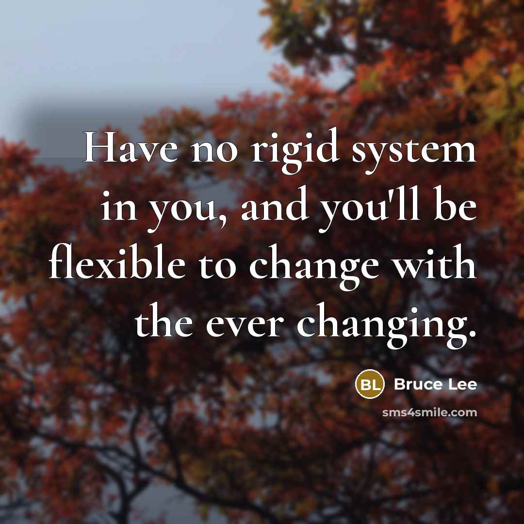 “Have no rigid system in you, and you'll be flexible…” quote by Bruce Lee