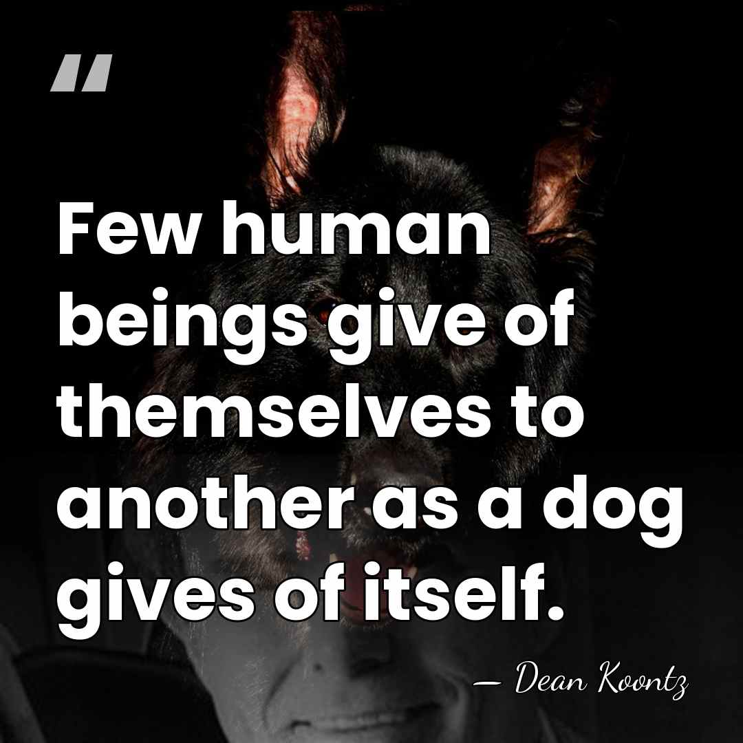 Few human beings give of themselves to another as a dog gives&hellip; - Dean Koontz