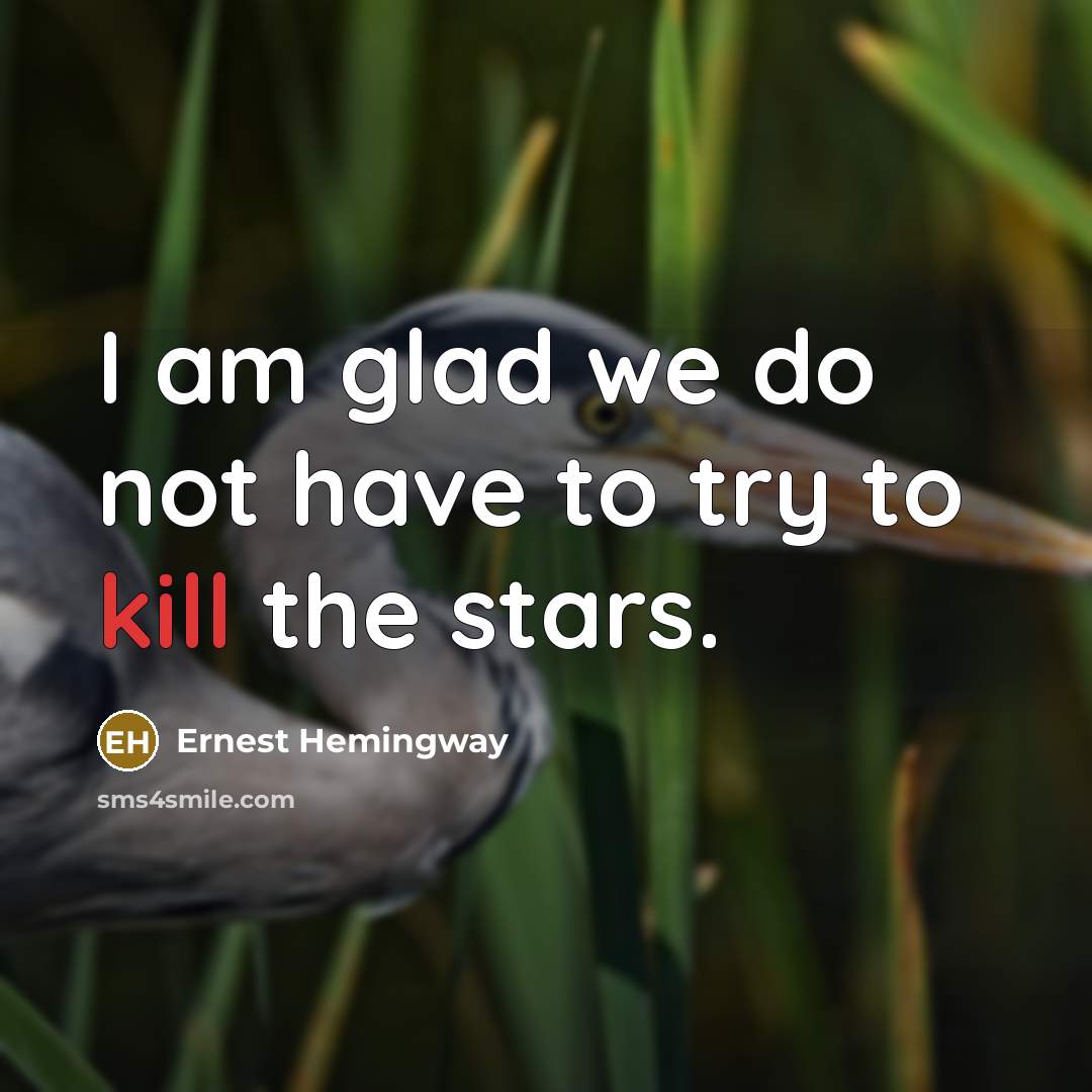 “I am glad we do not have to try to…” quote by Ernest Hemingway