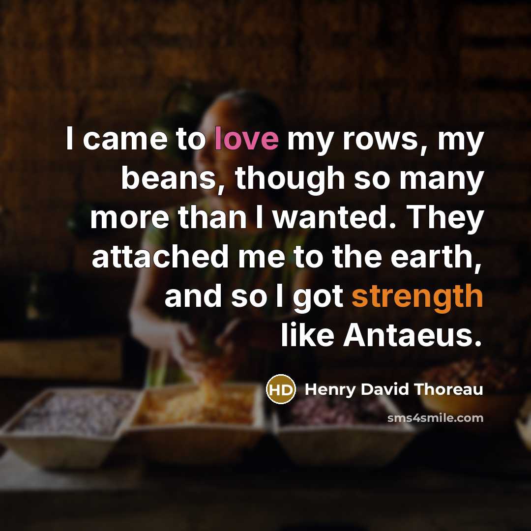 “I came to love my rows, my beans, though so…” quote by Henry David Thoreau