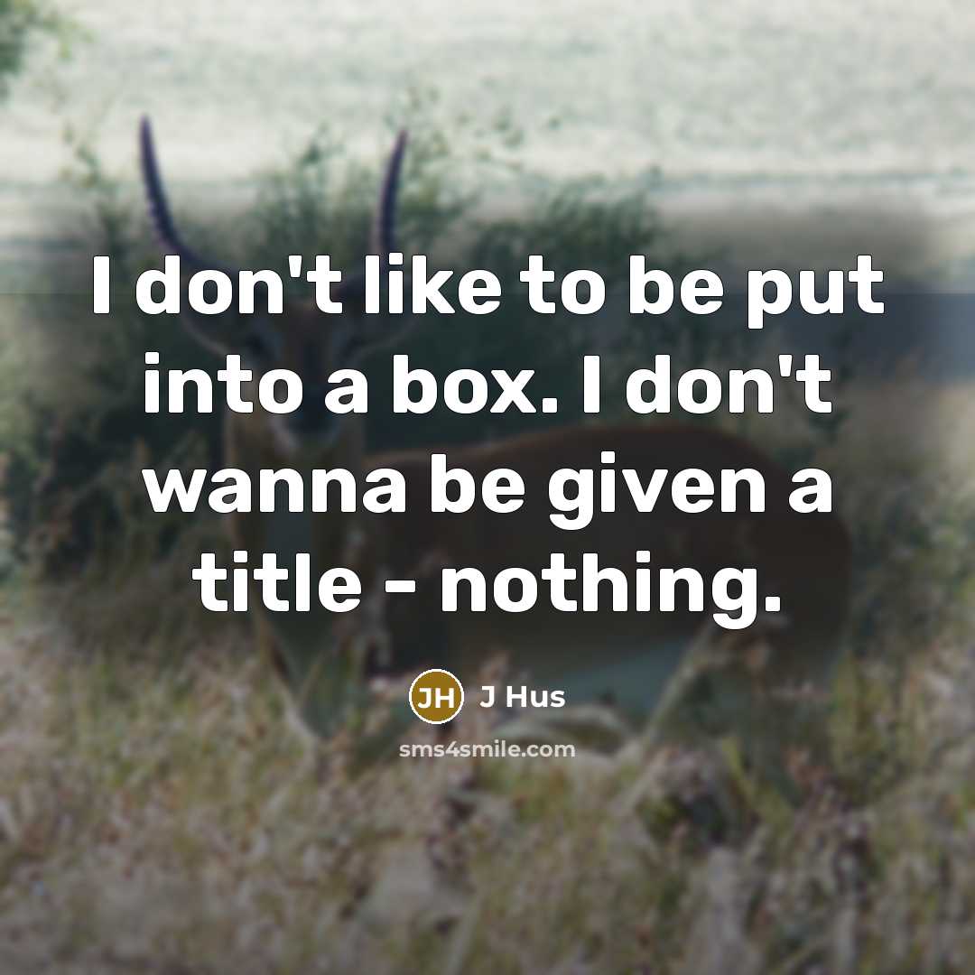 “I don't like to be put into a box. I…” quote by J Hus