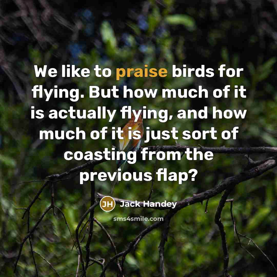 “We like to praise birds for flying. But how much…” quote by Jack Handey