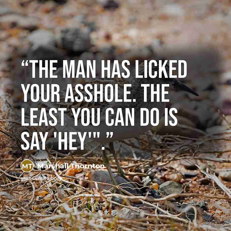 “The man has licked your asshole. The least you can do is say 'hey'".” quote by Marshall Thornton