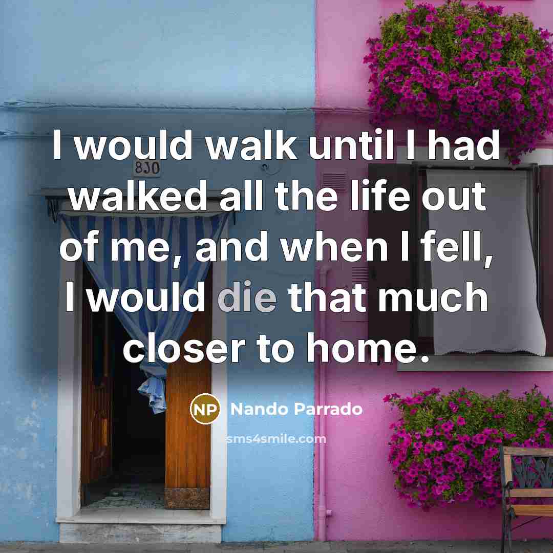 “I would walk until I had walked all the life…” quote by Nando Parrado