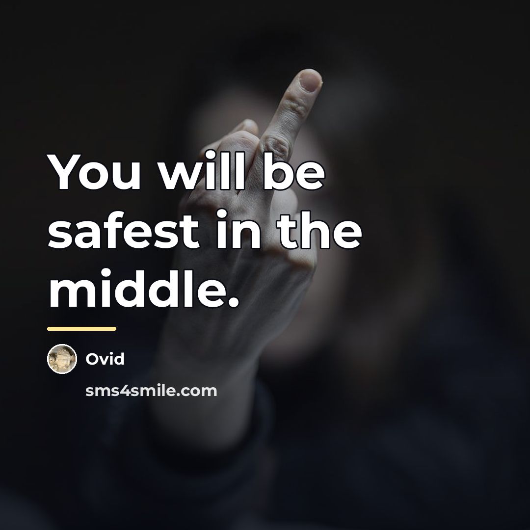 “You will be safest in the middle.…” quote by Ovid