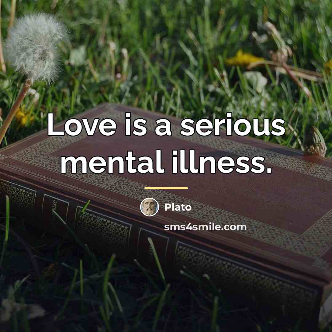 “Love is a serious mental illness.…” quote by Plato