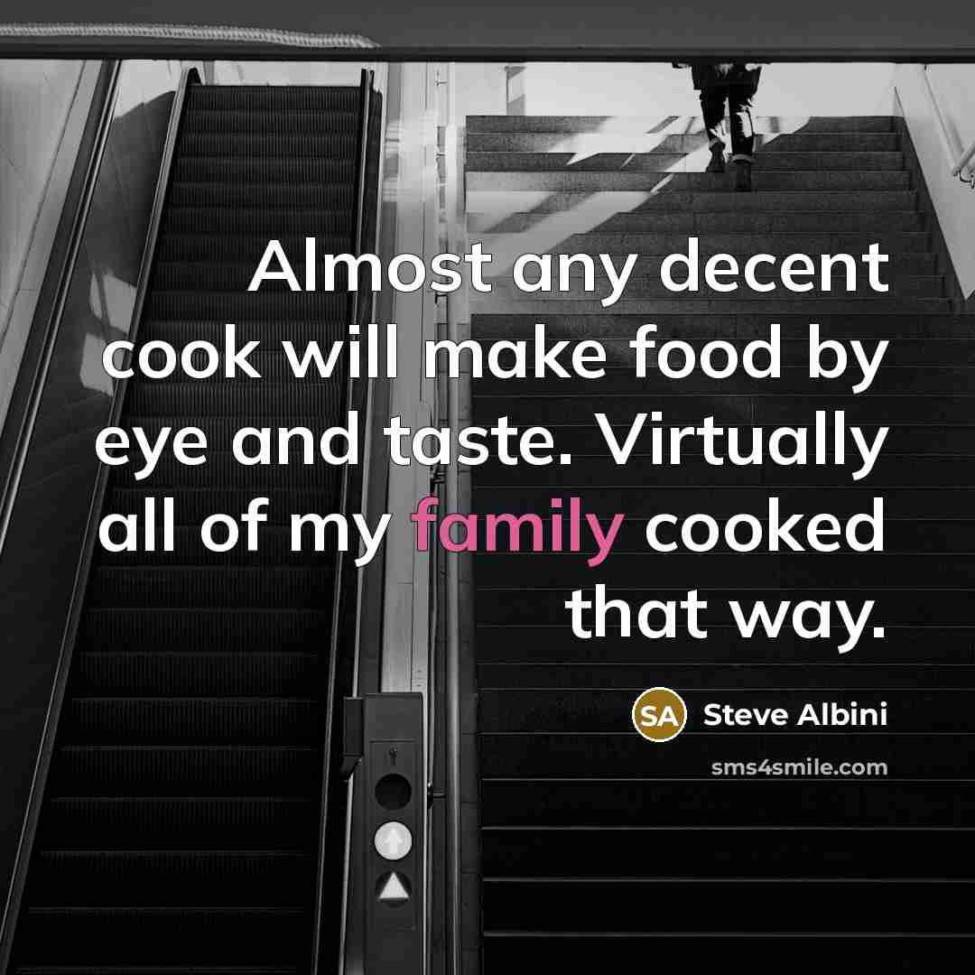 “Almost any decent cook will make food by eye and…” quote by Steve Albini
