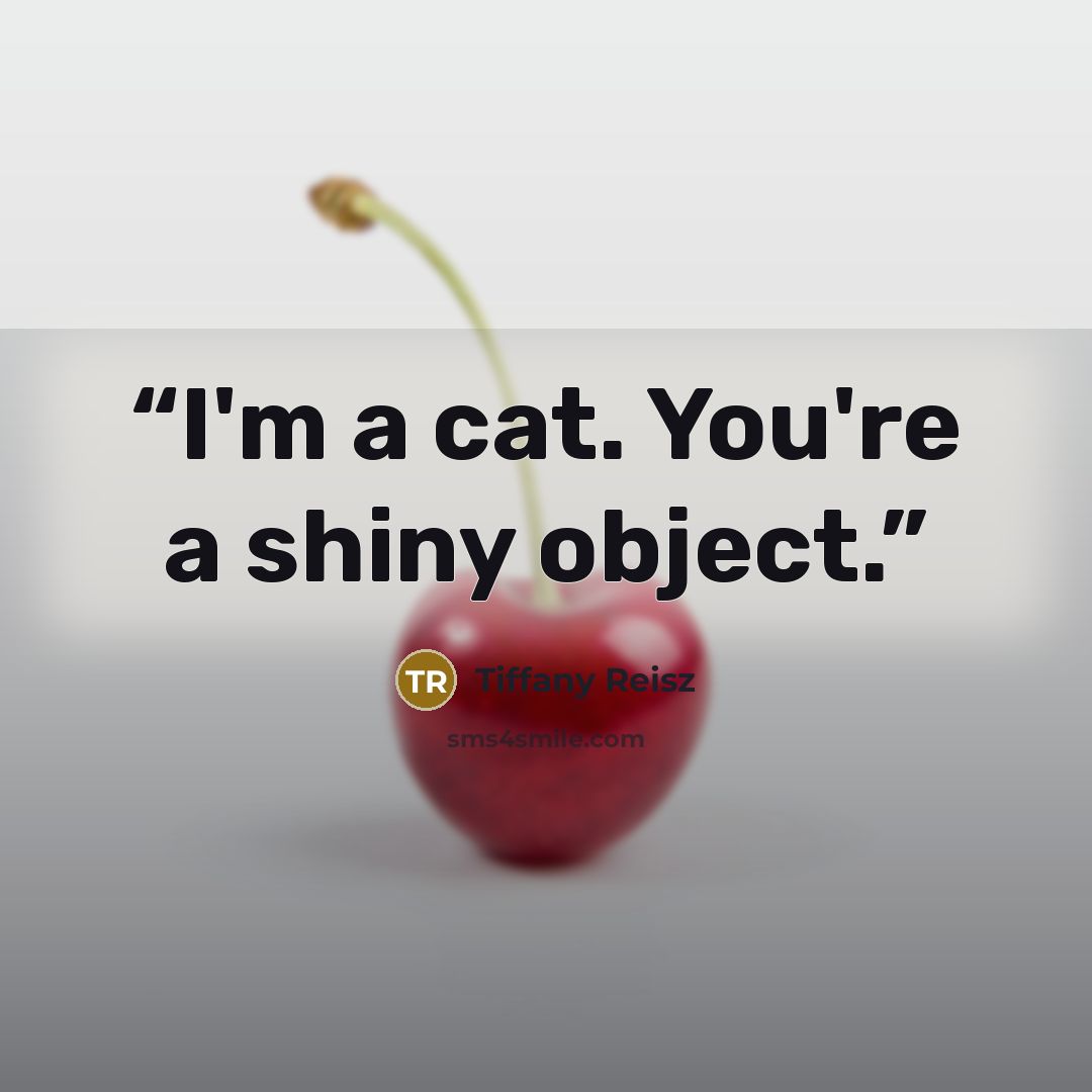“I'm a cat. You're a shiny object.” quote by Tiffany Reisz