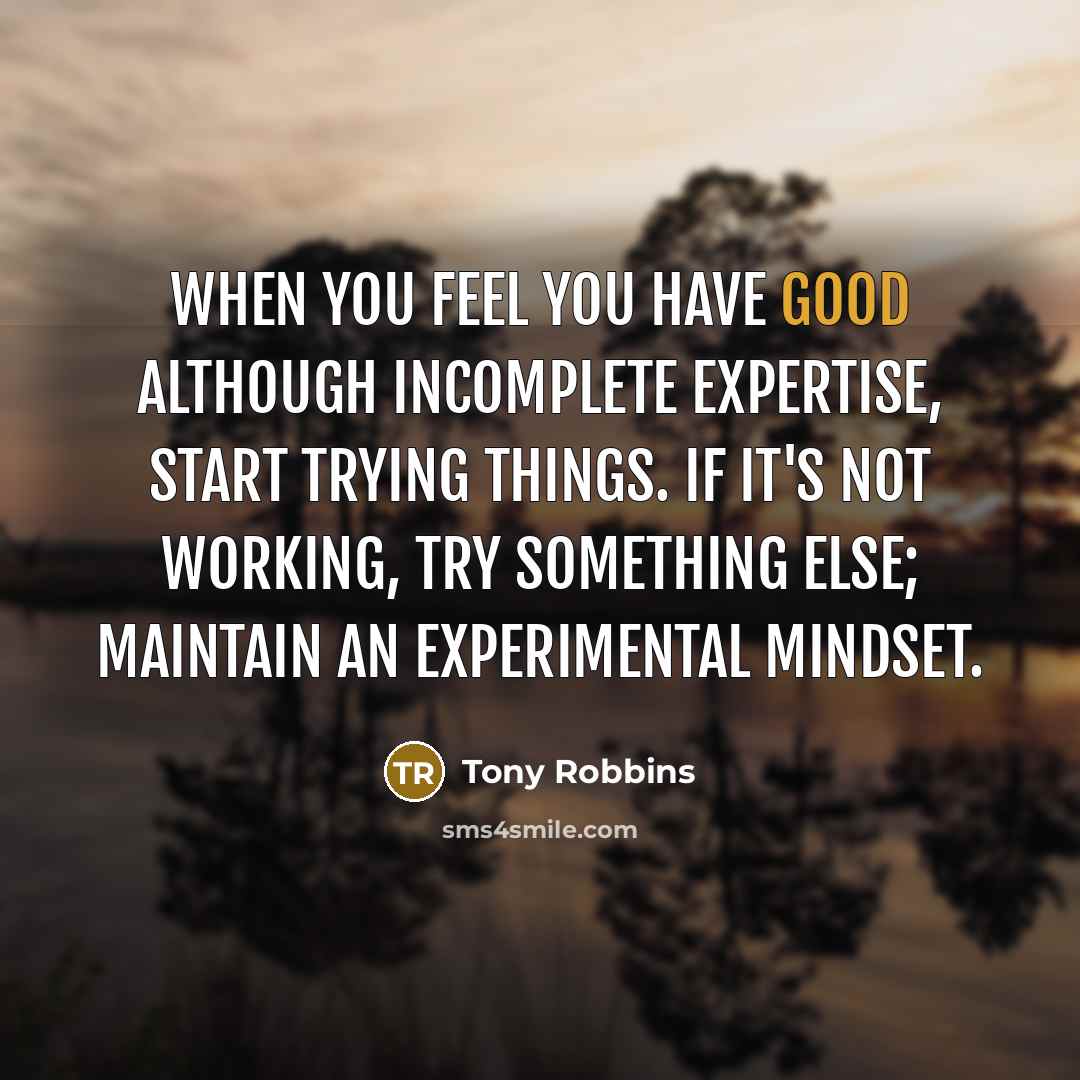 “When you feel you have good although incomplete expertise, start…” quote by Tony Robbins