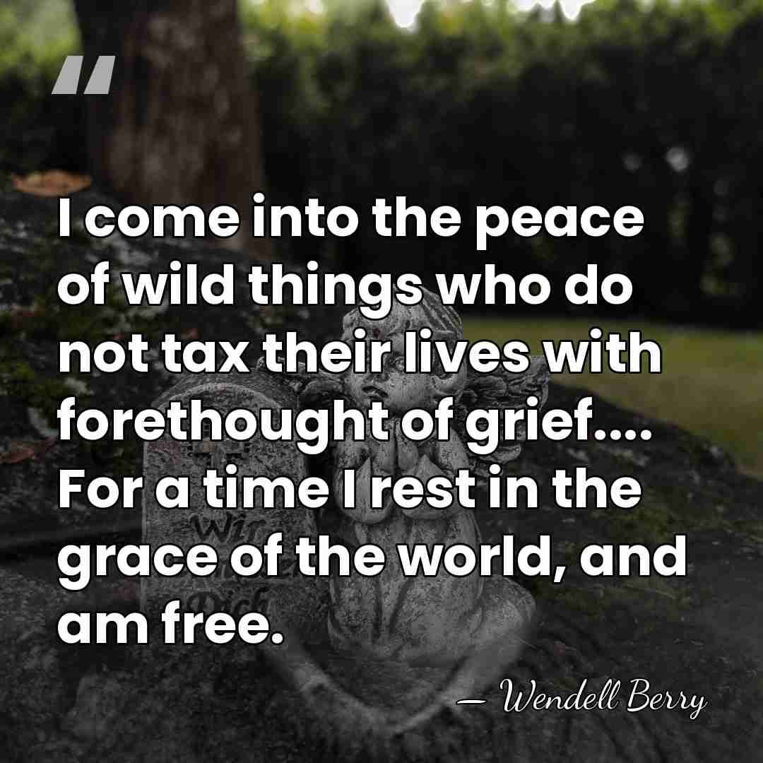 I come into the peace of wild things who do not tax&hellip; - Wendell Berry