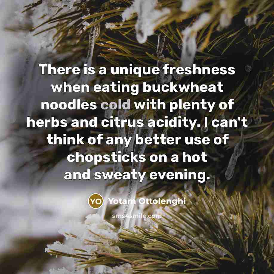 “There is a unique freshness when eating buckwheat noodles cold…” quote by Yotam Ottolenghi