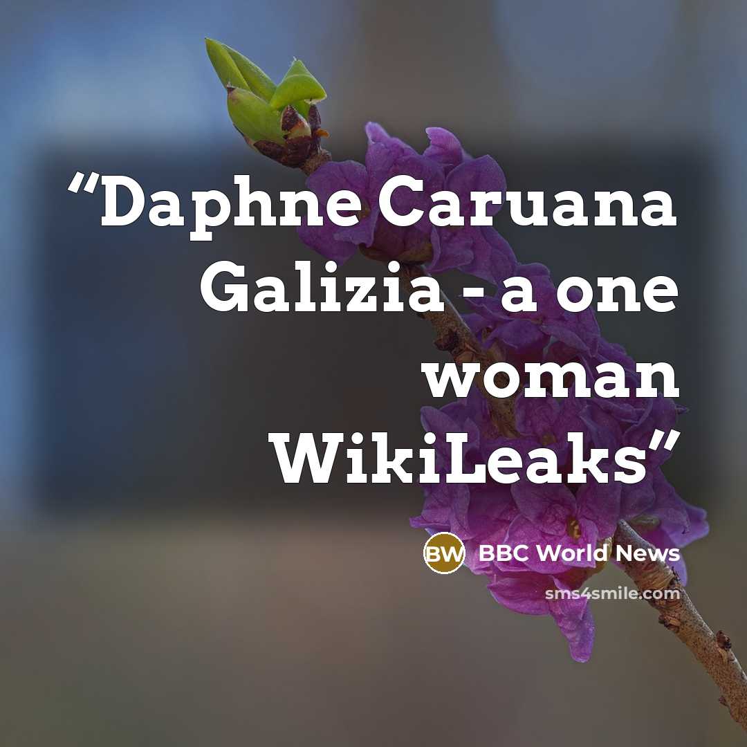 “Daphne Caruana Galizia - a one woman WikiLeaks” quote by BBC World News