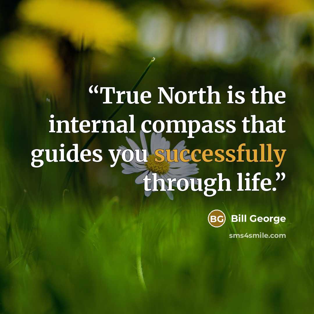 “True North is the internal compass that guides you successfully through life.” quote by Bill George