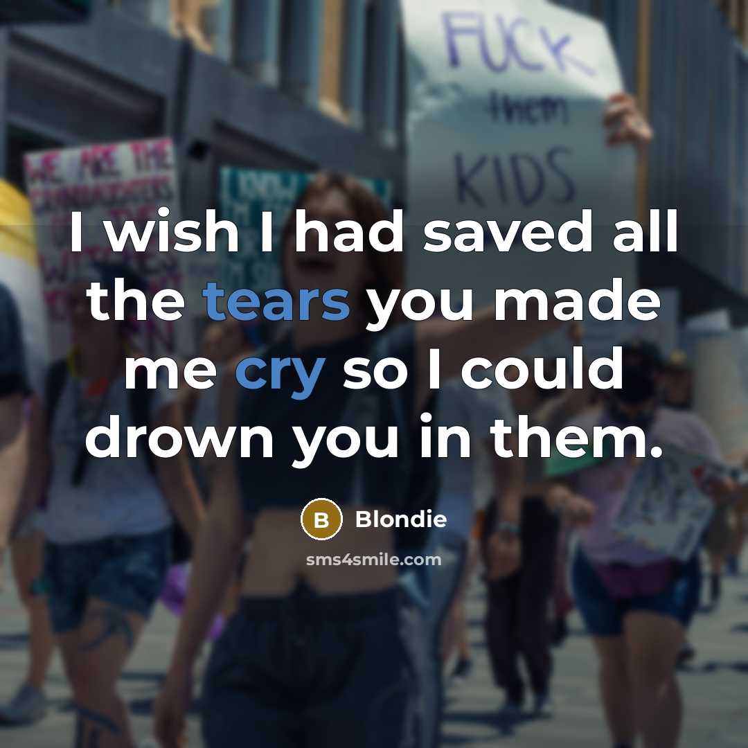 “I wish I had saved all the tears you made me cry so I could drown you in them.” quote by Blondie