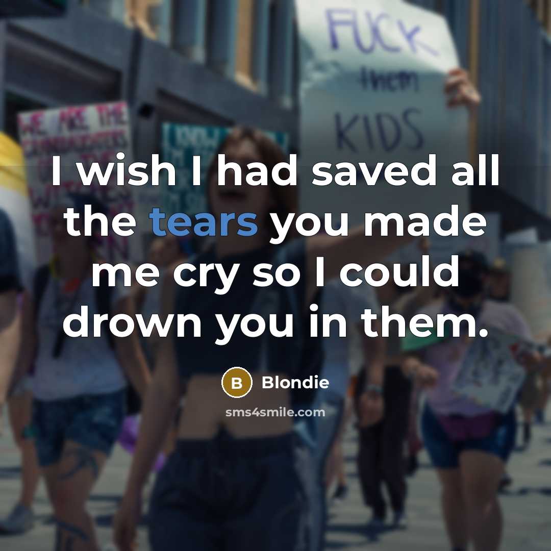 “I wish I had saved all the tears you made…” quote by Blondie