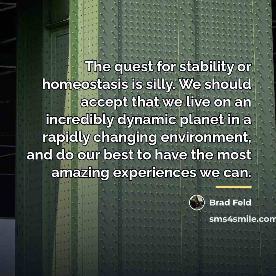 “The quest for stability or homeostasis is silly. We should…” quote by Brad Feld
