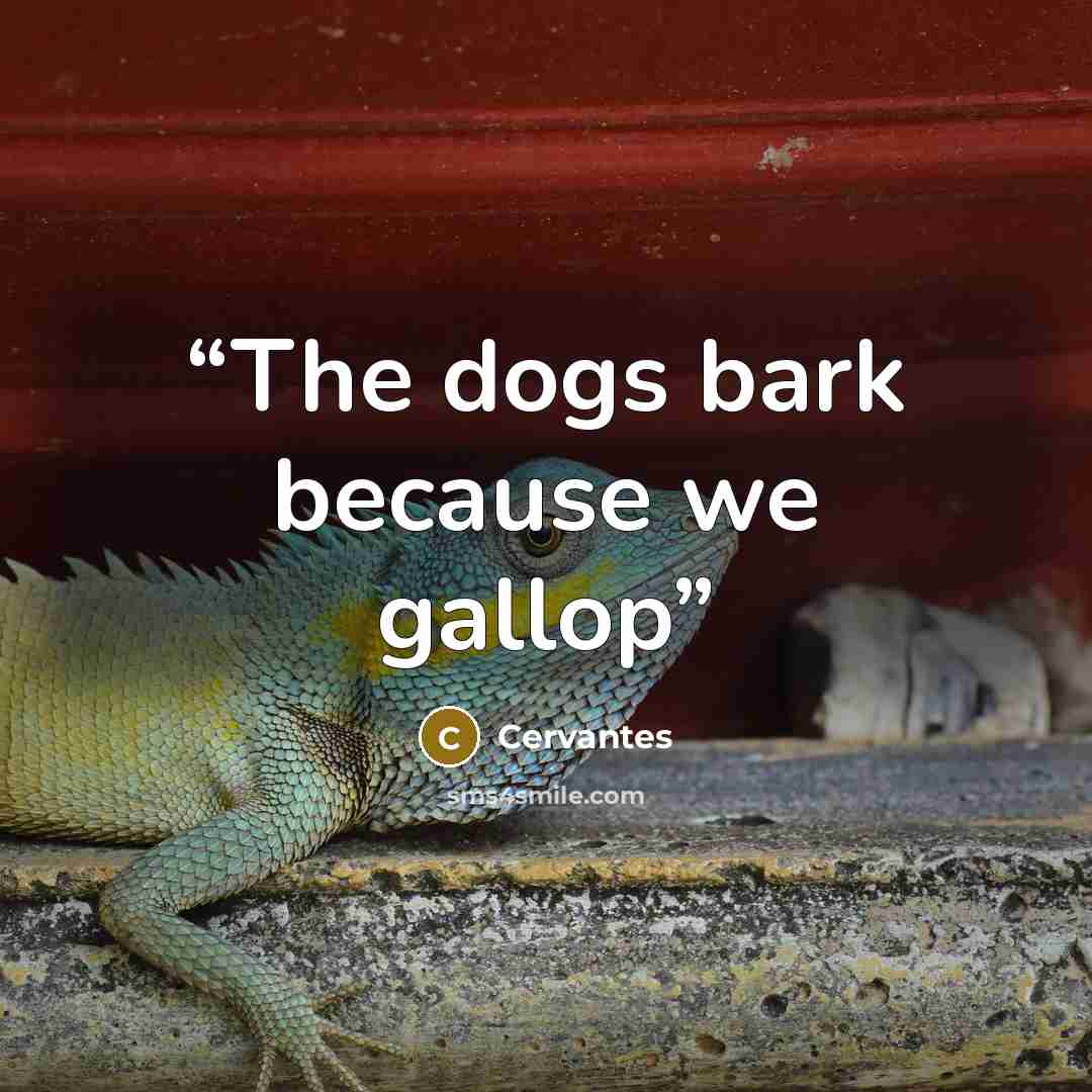 “The dogs bark because we gallop” quote by Cervantes