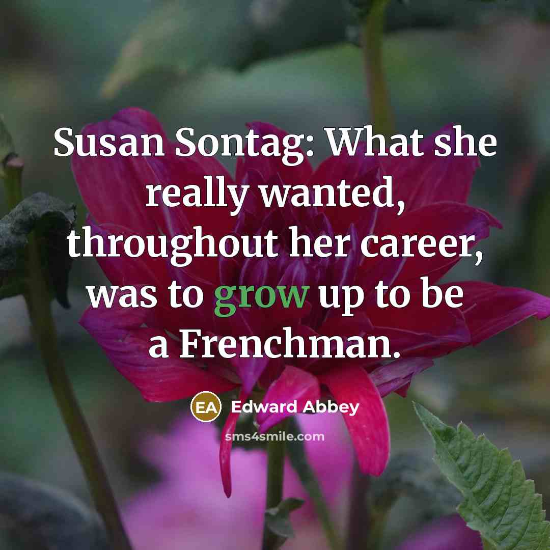 “Susan Sontag: What she really wanted, throughout her career, was…” quote by Edward Abbey