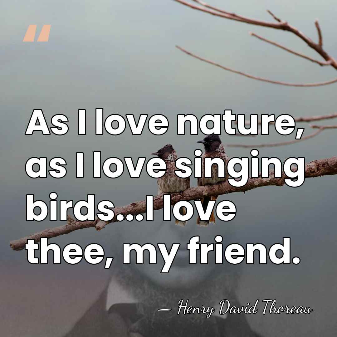 As I love nature, as I love singing birds...I love thee, my&hellip; - Henry David Thoreau
