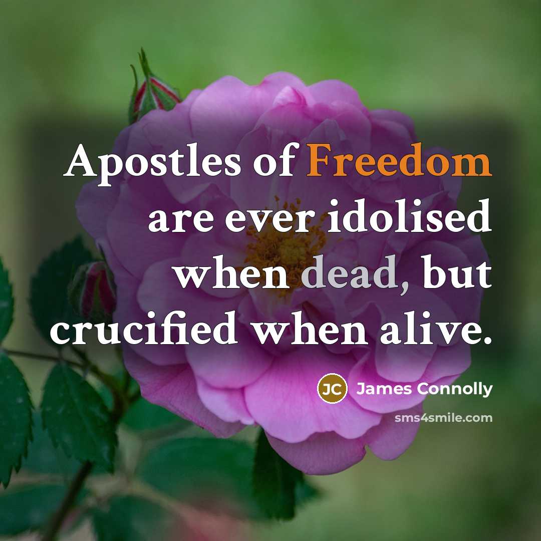 “Apostles of Freedom are ever idolised when dead, but crucified…” quote by James Connolly
