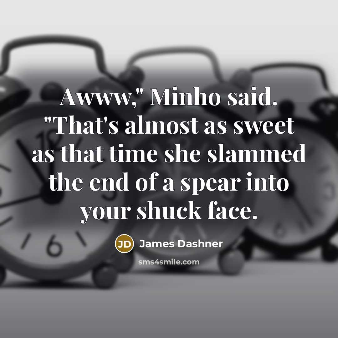 “Awww," Minho said. "That's almost as sweet as that time…” quote by James Dashner