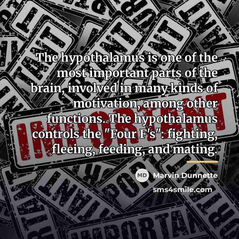 “The hypothalamus is one of the most important parts of…” quote by Marvin Dunnette