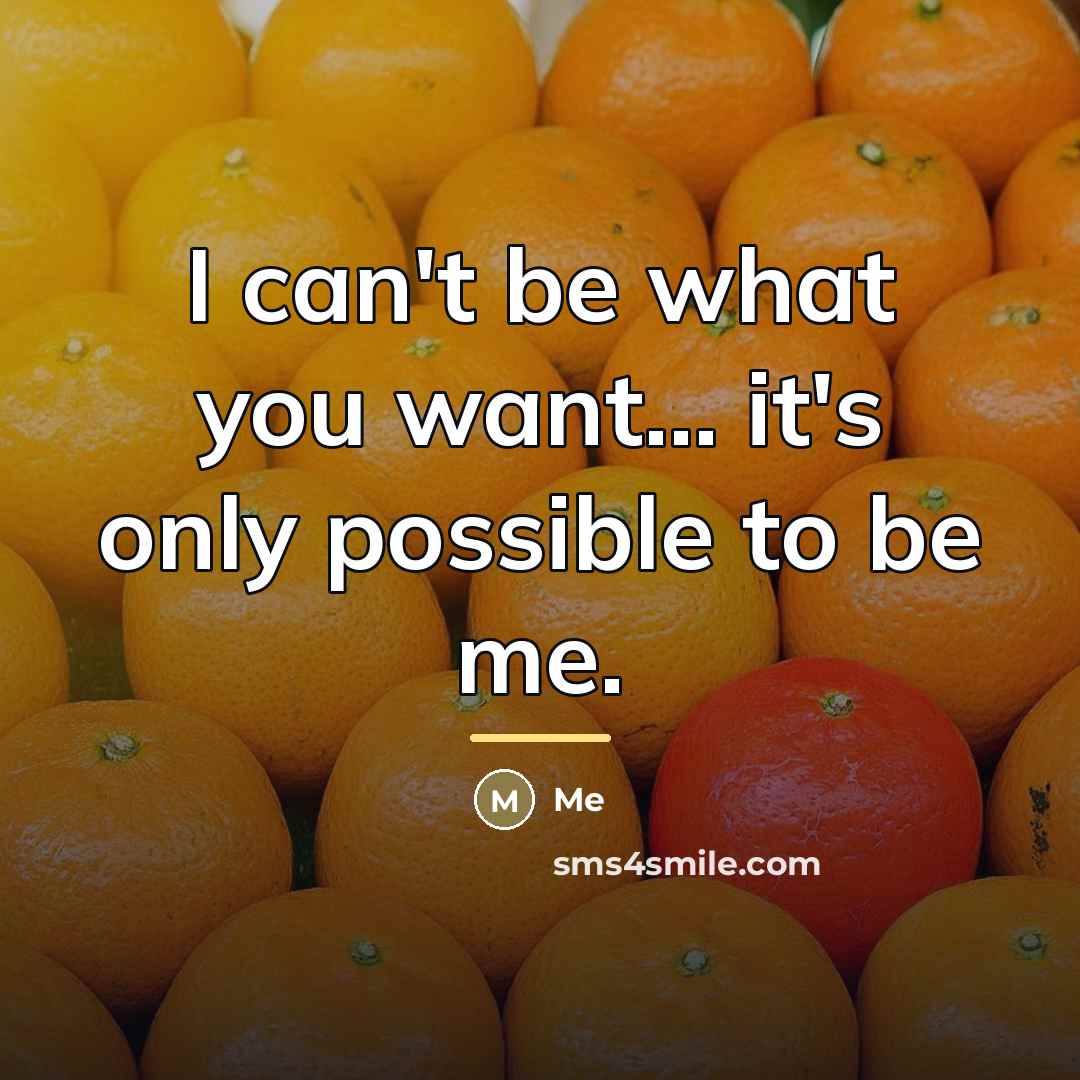 “I can't be what you want... it's only possible to…” quote by Me
