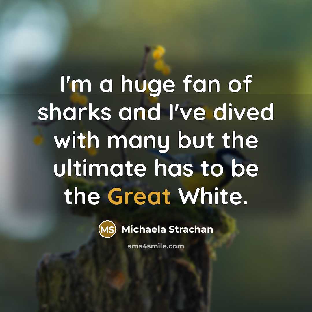 “I'm a huge fan of sharks and I've dived with…” quote by Michaela Strachan