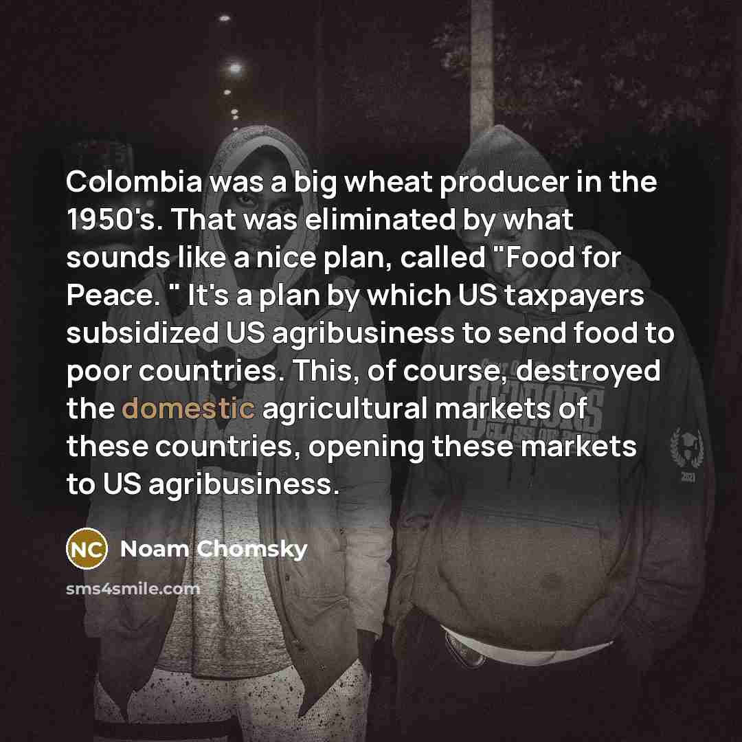 “Colombia was a big wheat producer in the 1950's. That…” quote by Noam Chomsky