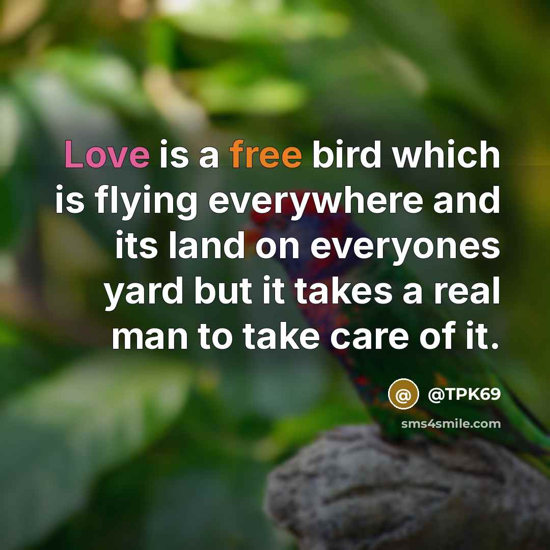 “Love is a free bird which is flying everywhere and its land on everyones yard but it takes a real man to take care of it.” quote by @TPK69