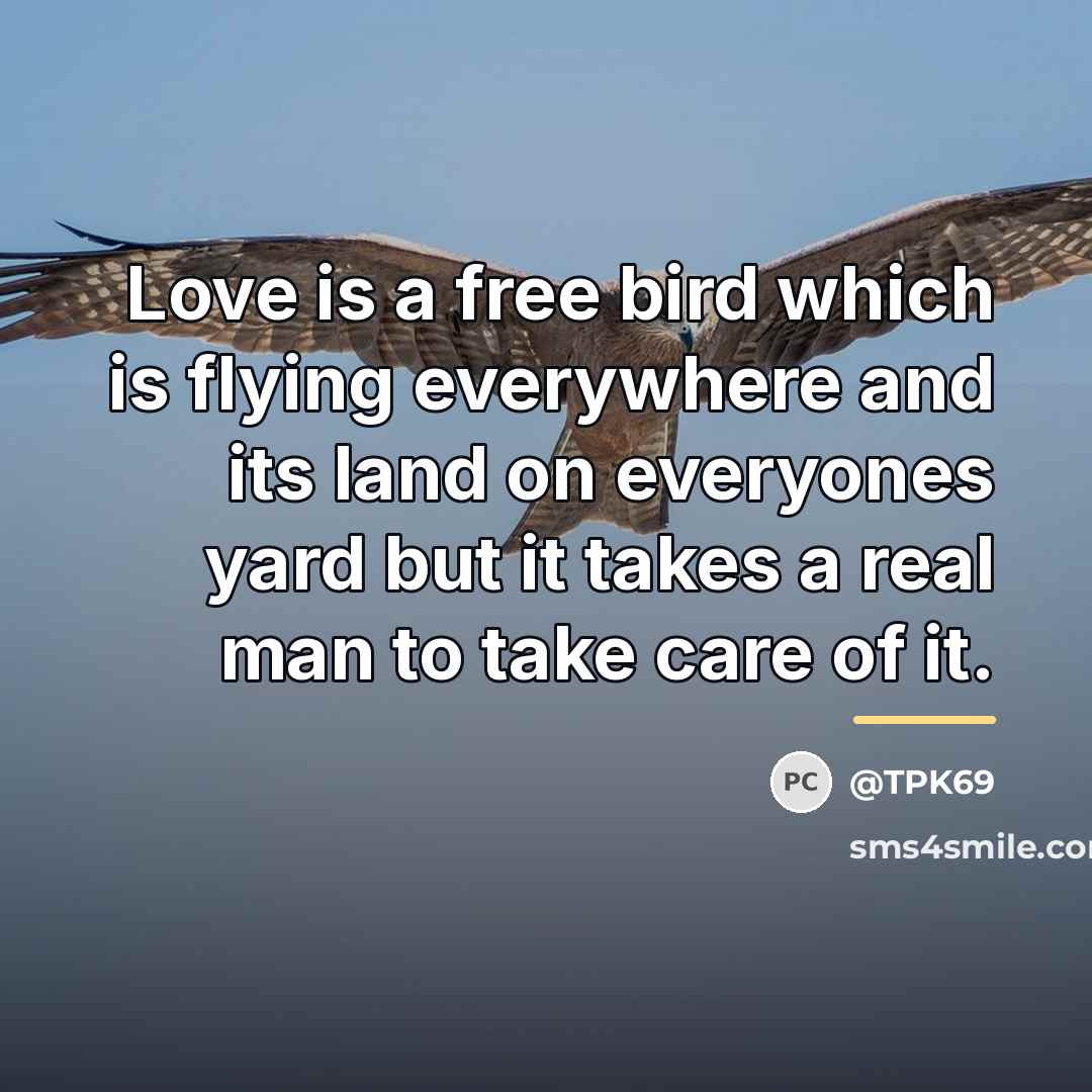 “Love is a free bird which is flying everywhere and…” quote by @TPK69