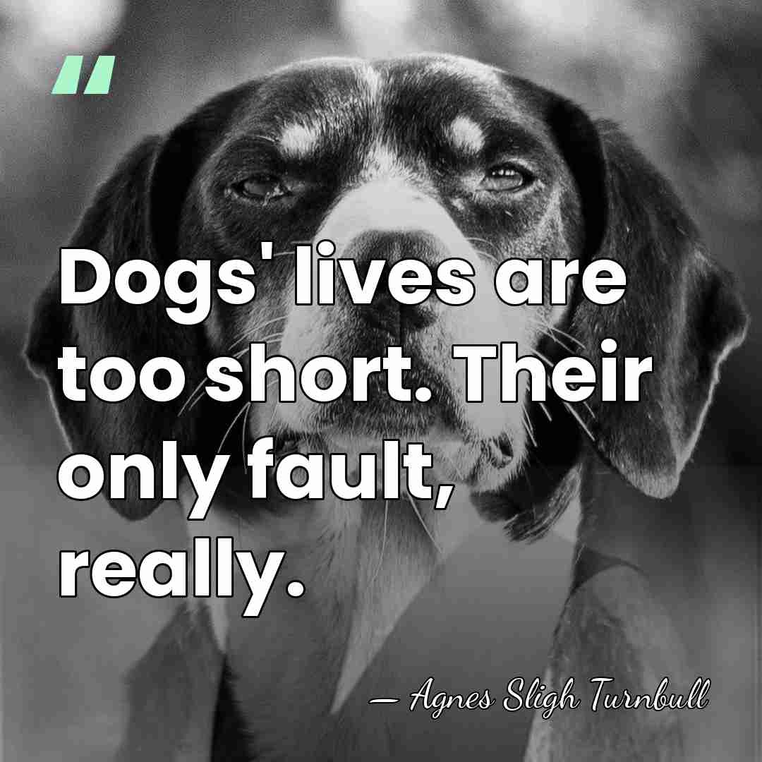 Dogs' lives are too short. Their only fault, really. - Agnes Sligh Turnbull