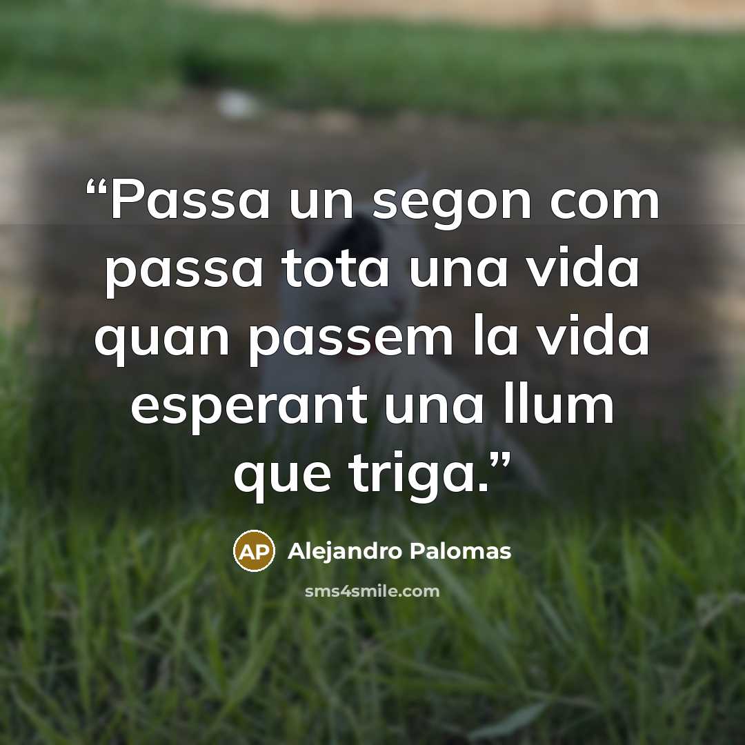“Passa un segon com passa tota una vida quan passem la vida esperant una llum que triga.” quote by Alejandro Palomas