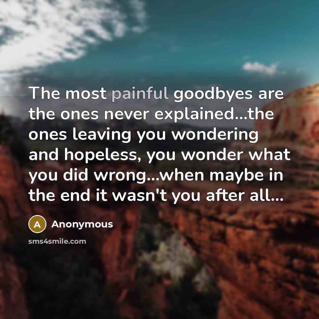 “The most painful goodbyes are the ones never explained...the ones leaving you wondering and hopeless, you wonder what you did wrong...when maybe in the end it wasn't you after all...” quote by Anonymous