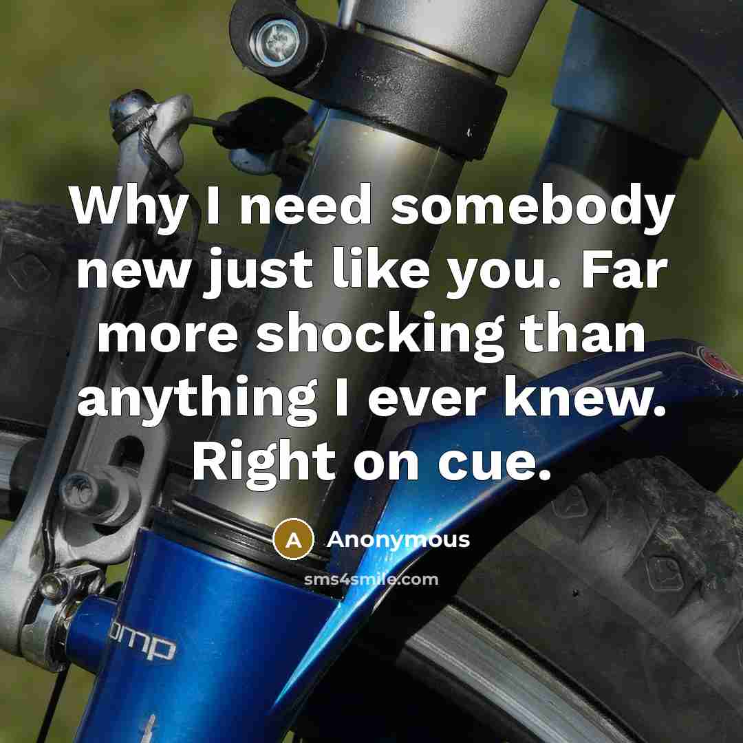 “Why I need somebody new just like you. Far more shocking than anything I ever knew. Right on cue.” quote by Anonymous