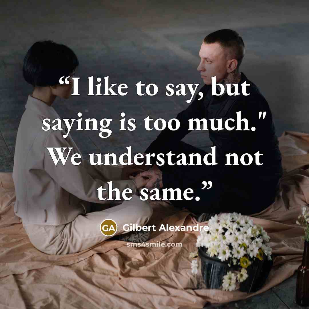 “I like to say, but saying is too much." We understand not the same.” quote by Gilbert Alexandre
