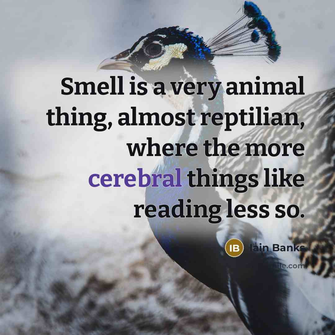 “Smell is a very animal thing, almost reptilian, where the…” quote by Iain Banks