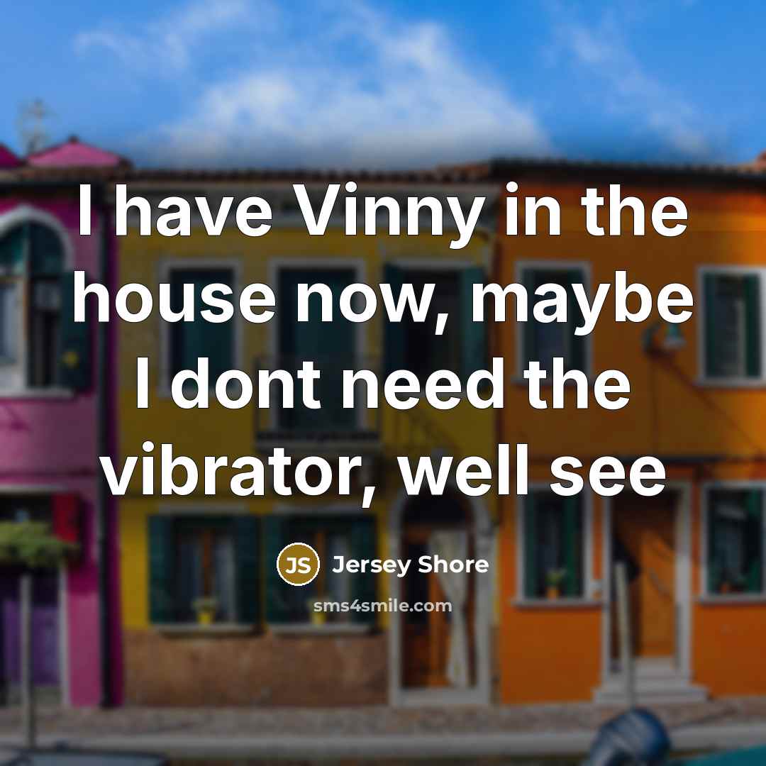 “I have Vinny in the house now, maybe I dont…” quote by Jersey Shore