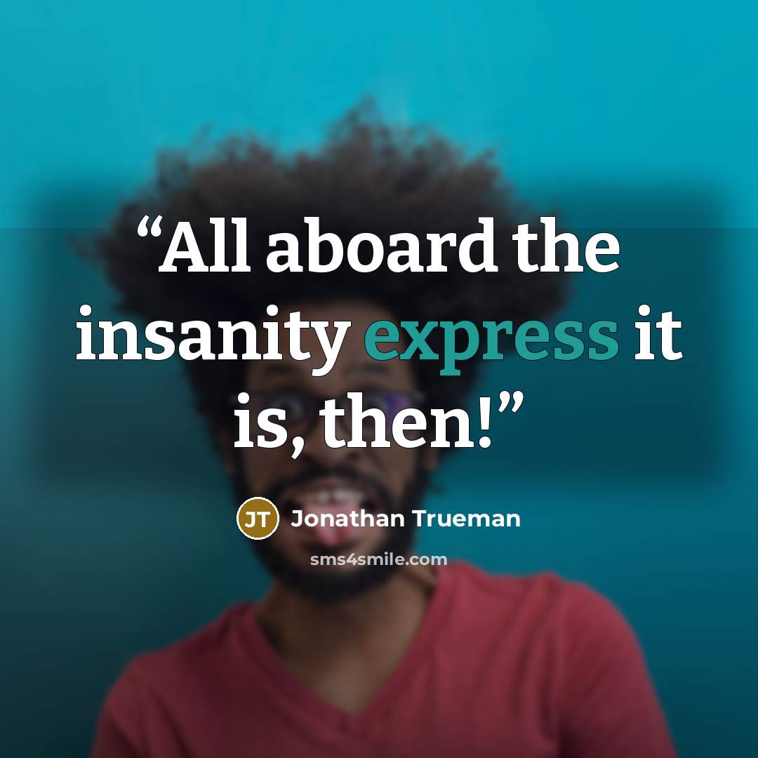 “All aboard the insanity express it is, then!” quote by Jonathan Trueman
