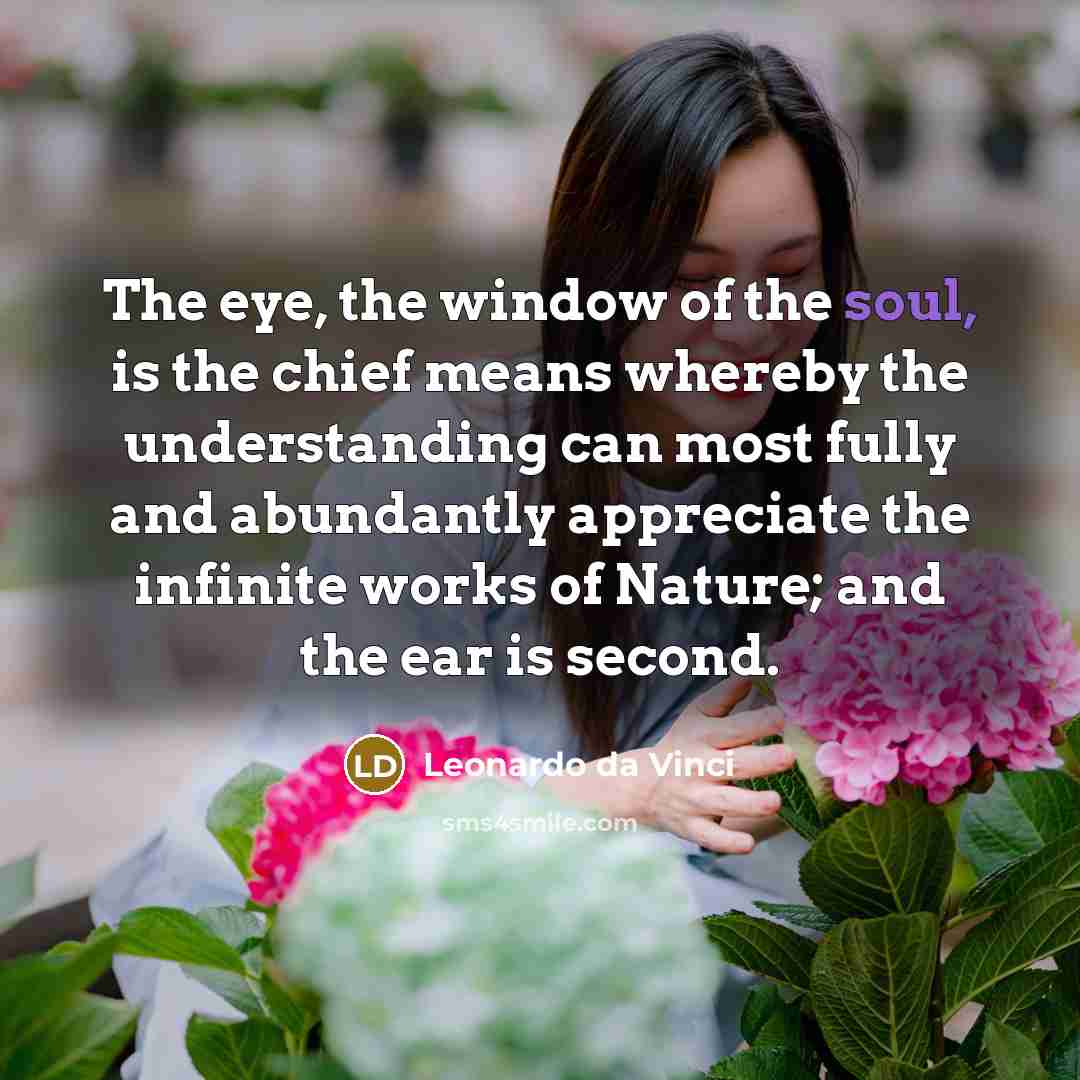 “The eye, the window of the soul, is the chief…” quote by Leonardo da Vinci