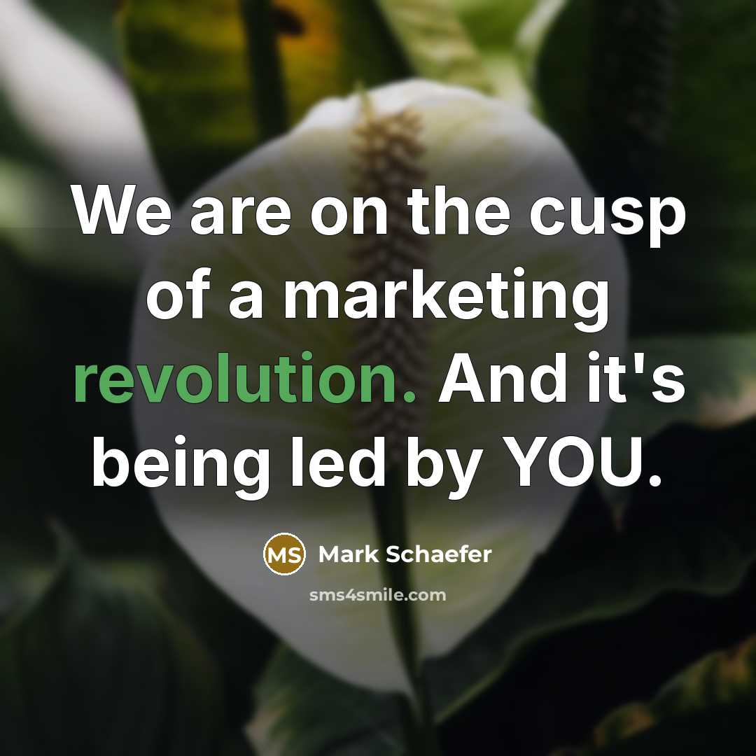 “We are on the cusp of a marketing revolution. And…” quote by Mark Schaefer