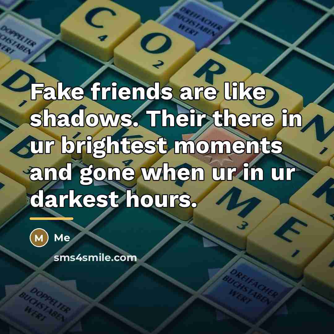 “Fake friends are like shadows. Their there in ur brightest…” quote by Me