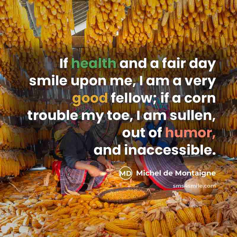 “If health and a fair day smile upon me, I…” quote by Michel de Montaigne
