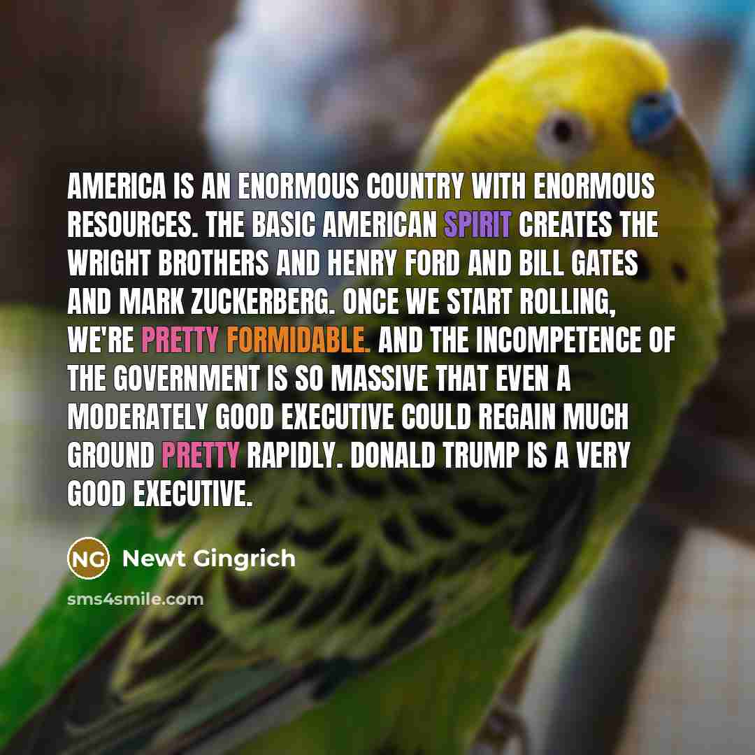 “America is an enormous country with enormous resources. The basic…” quote by Newt Gingrich