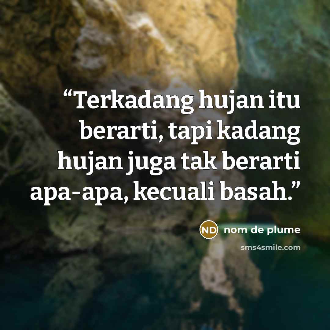 “Terkadang hujan itu berarti, tapi kadang hujan juga tak berarti apa-apa, kecuali basah.” quote by nom de plume