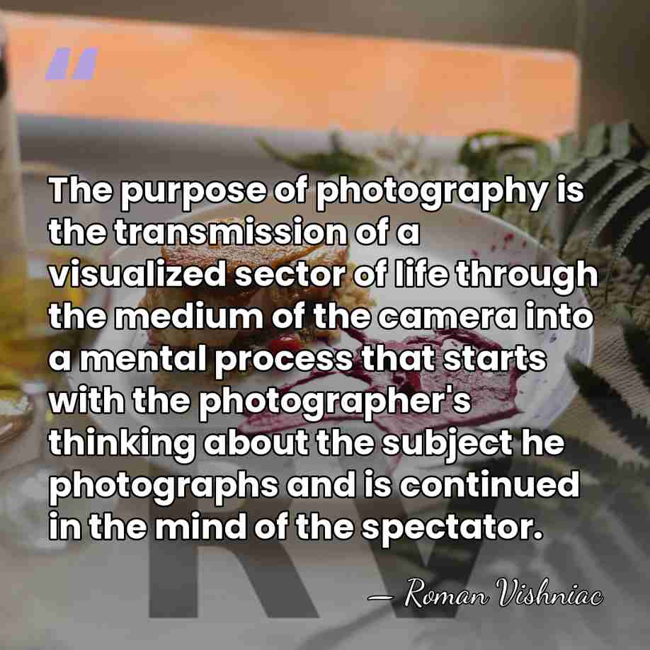 The purpose of photography is the transmission of a visualized sector of&hellip; - Roman Vishniac