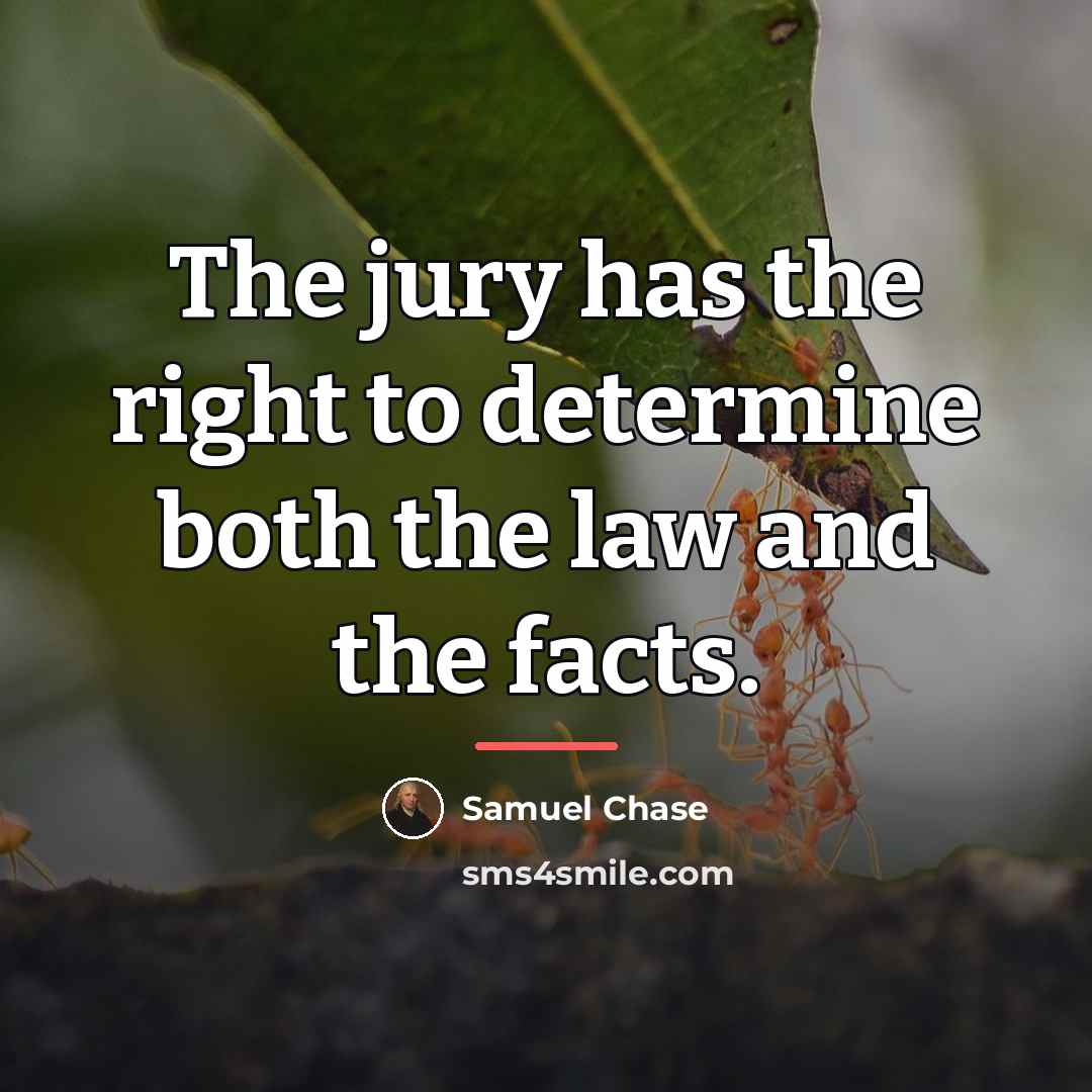 “The jury has the right to determine both the law…” quote by Samuel Chase