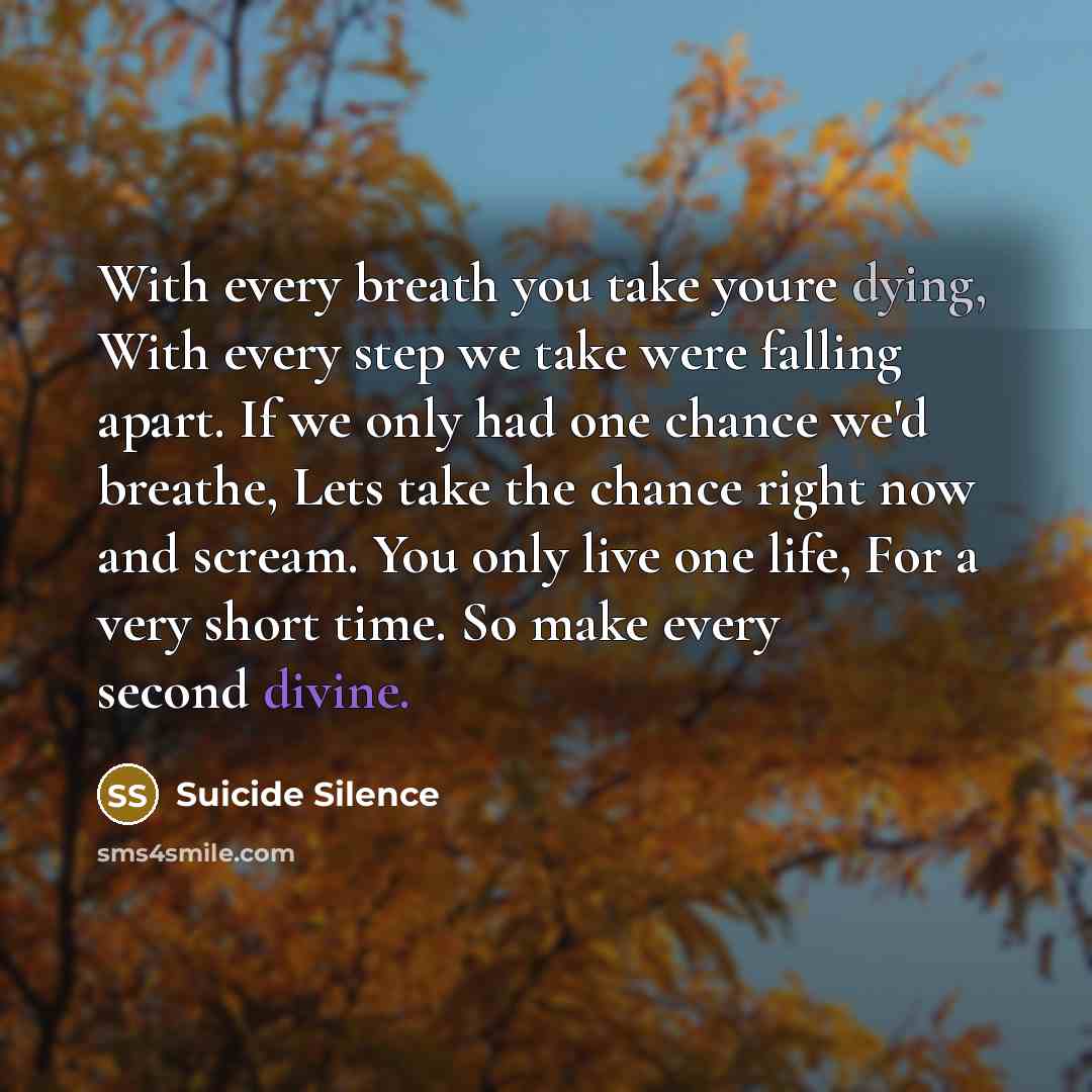 “With every breath you take youre dying, With every step we take were falling apart. If we only had one chance we'd breathe, Lets take the chance right now and scream. You only live one life, For a very short time. So make every second divine.” quote by Suicide Silence